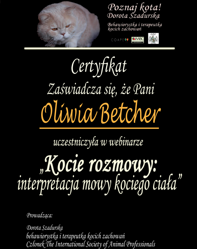 Obrazek posiada pusty atrybut alt; plik o nazwie image-1.png