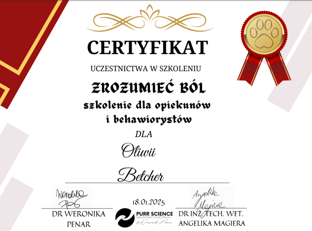 Obrazek posiada pusty atrybut alt; plik o nazwie image-1-1024x756.png